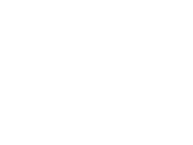 American Family Institute